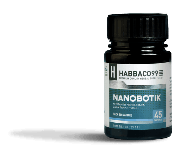 Nanobotik