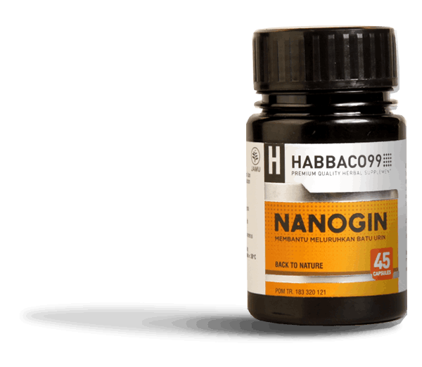 Nanogin